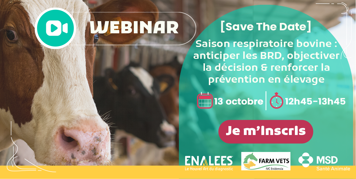webinar-rural-IVC-Enalees