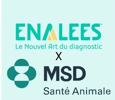 partenariat inédit Enalees-MSD pour la prévention des maladies respiratoires des ruminants