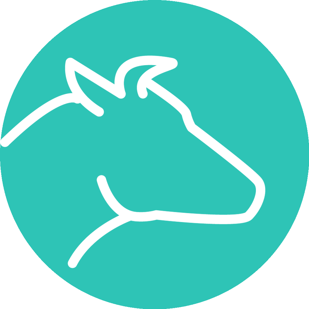 Ruminant