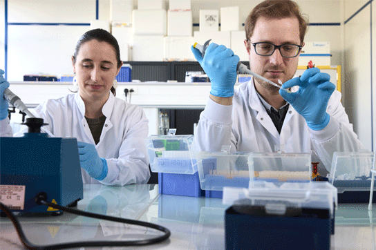 our scientist team in the lab - Enalees