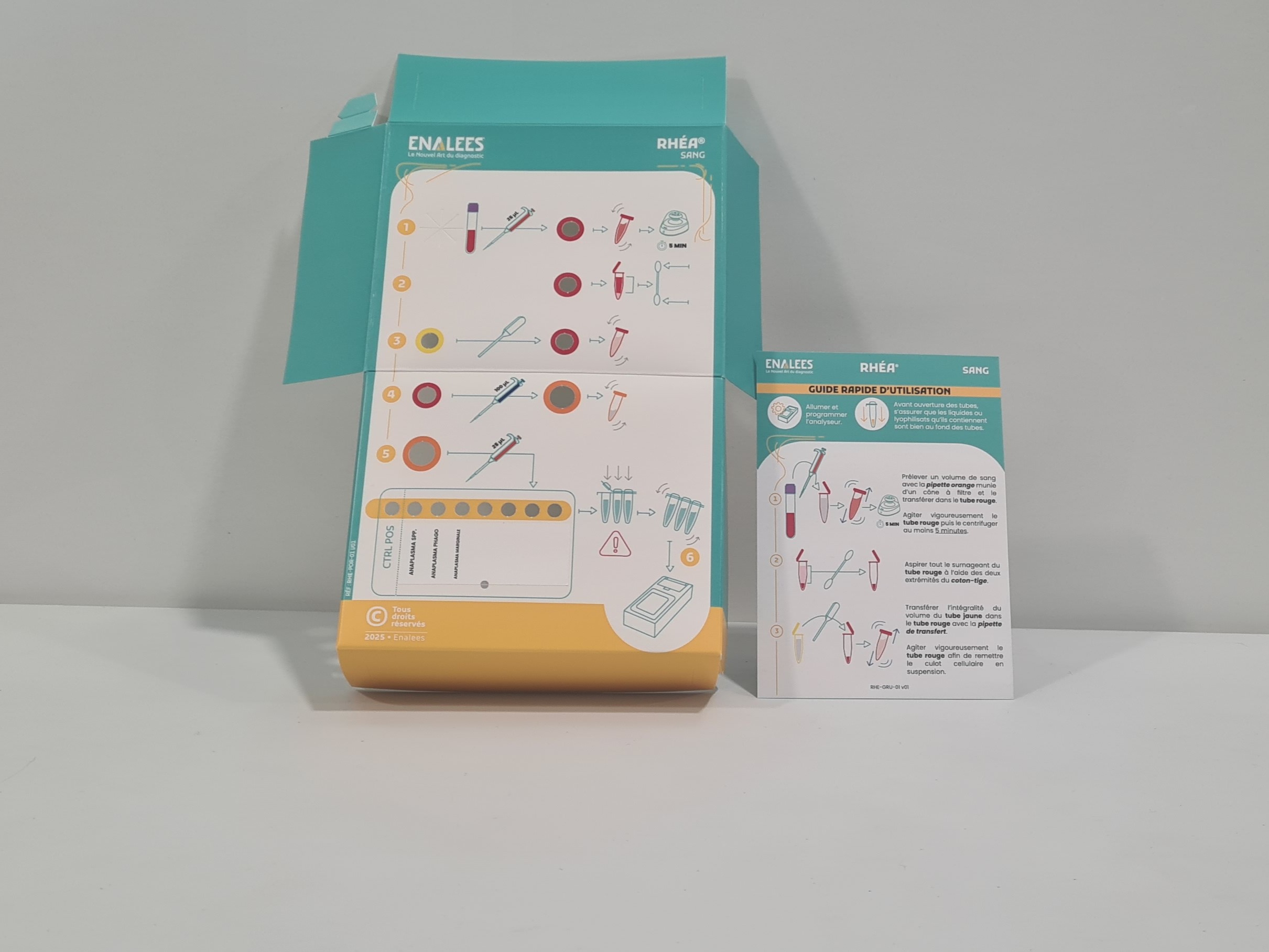 Rhéa Theileria/Babesia, Anaplasma, Borrelia, Leptospira, Mycoplasma