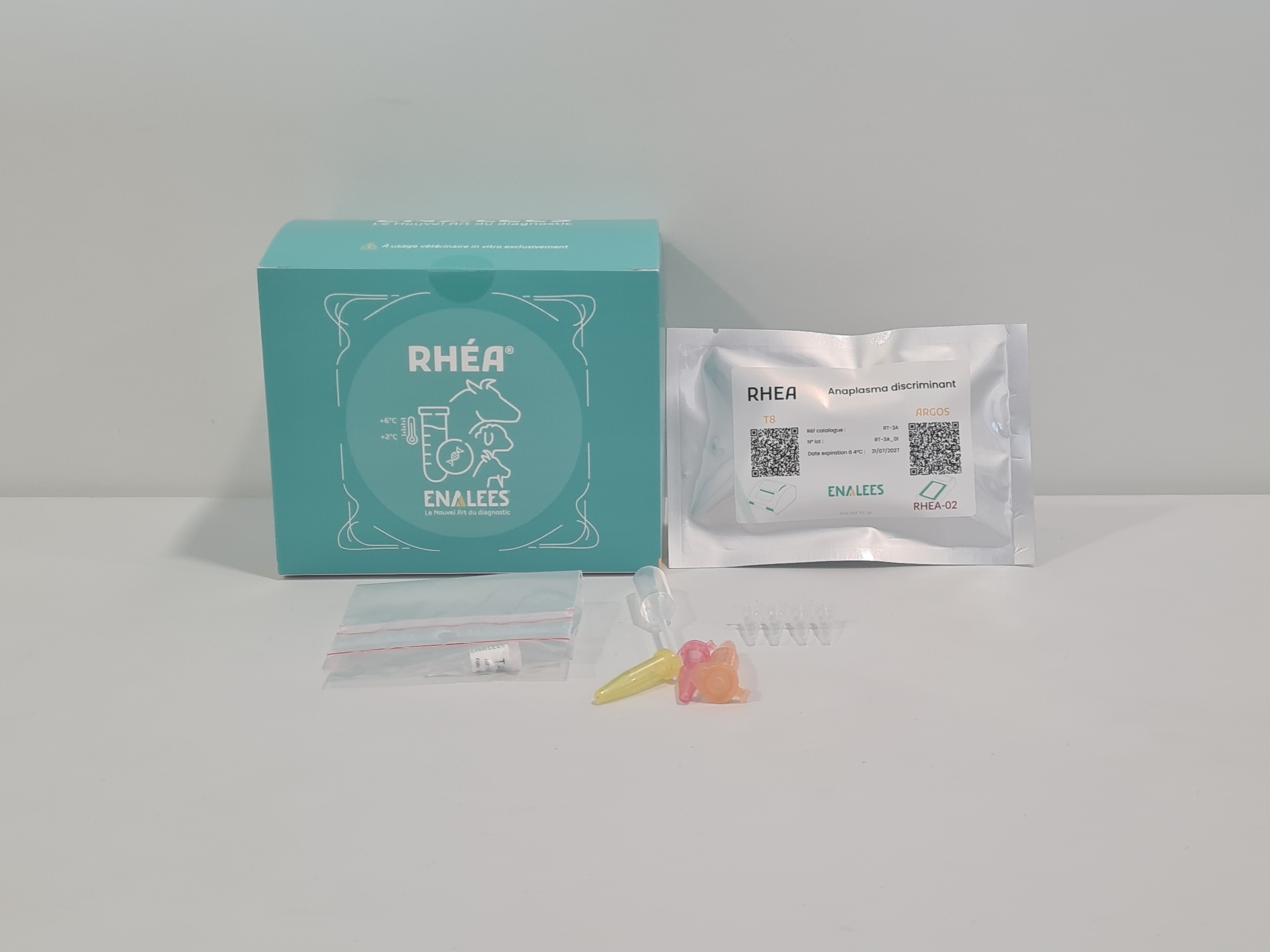 Rhéa Mycoplasma 