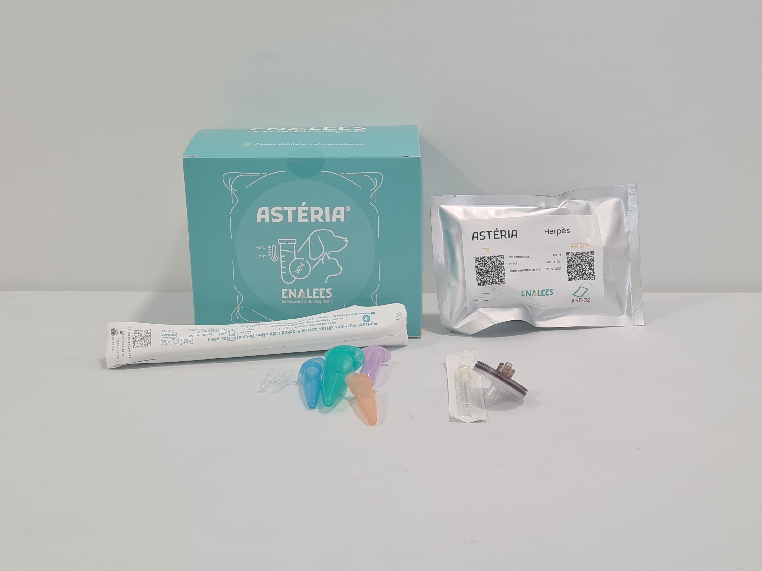 Astéria Herpes virus félin