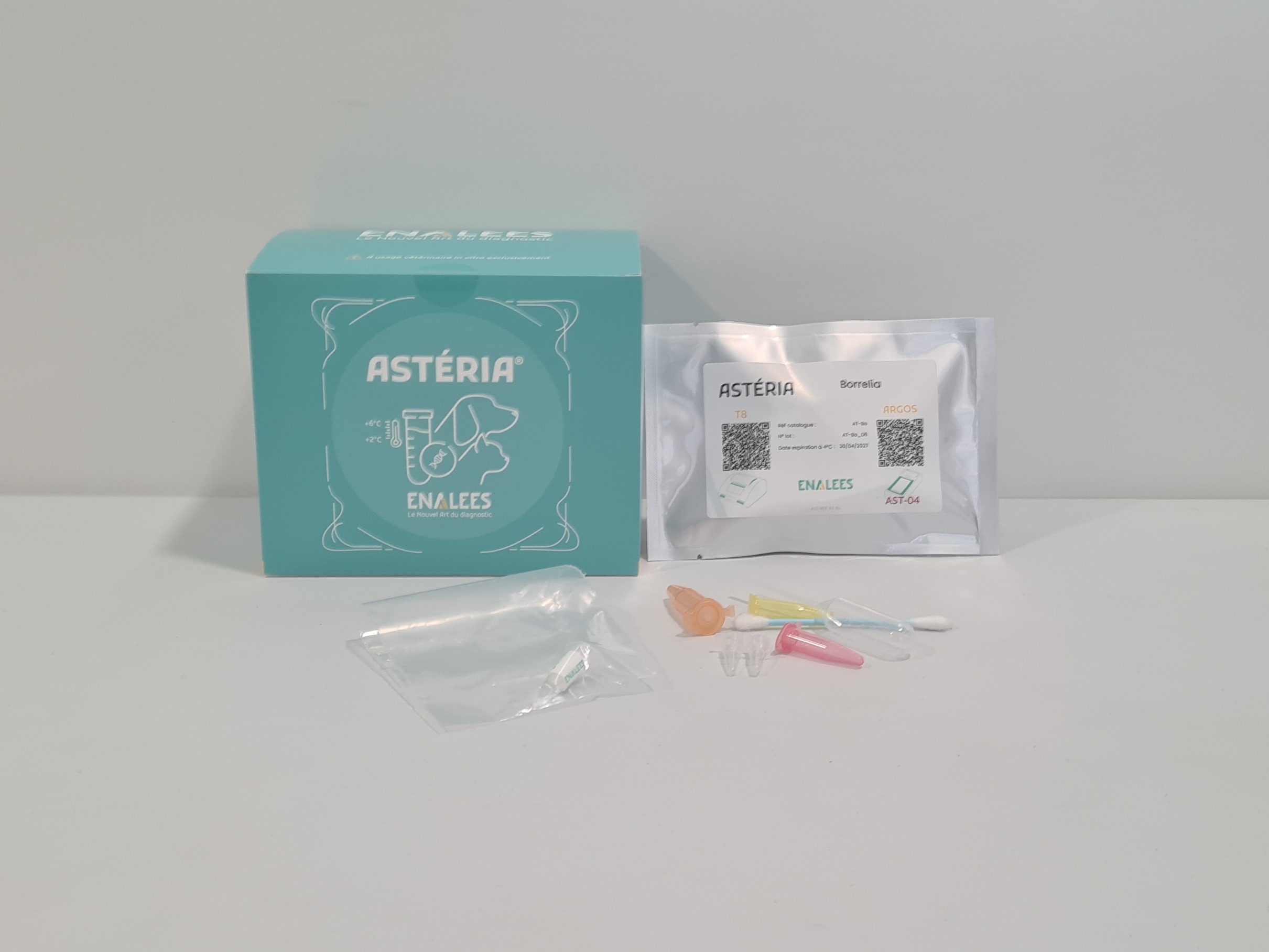 Astéria Borrelia
