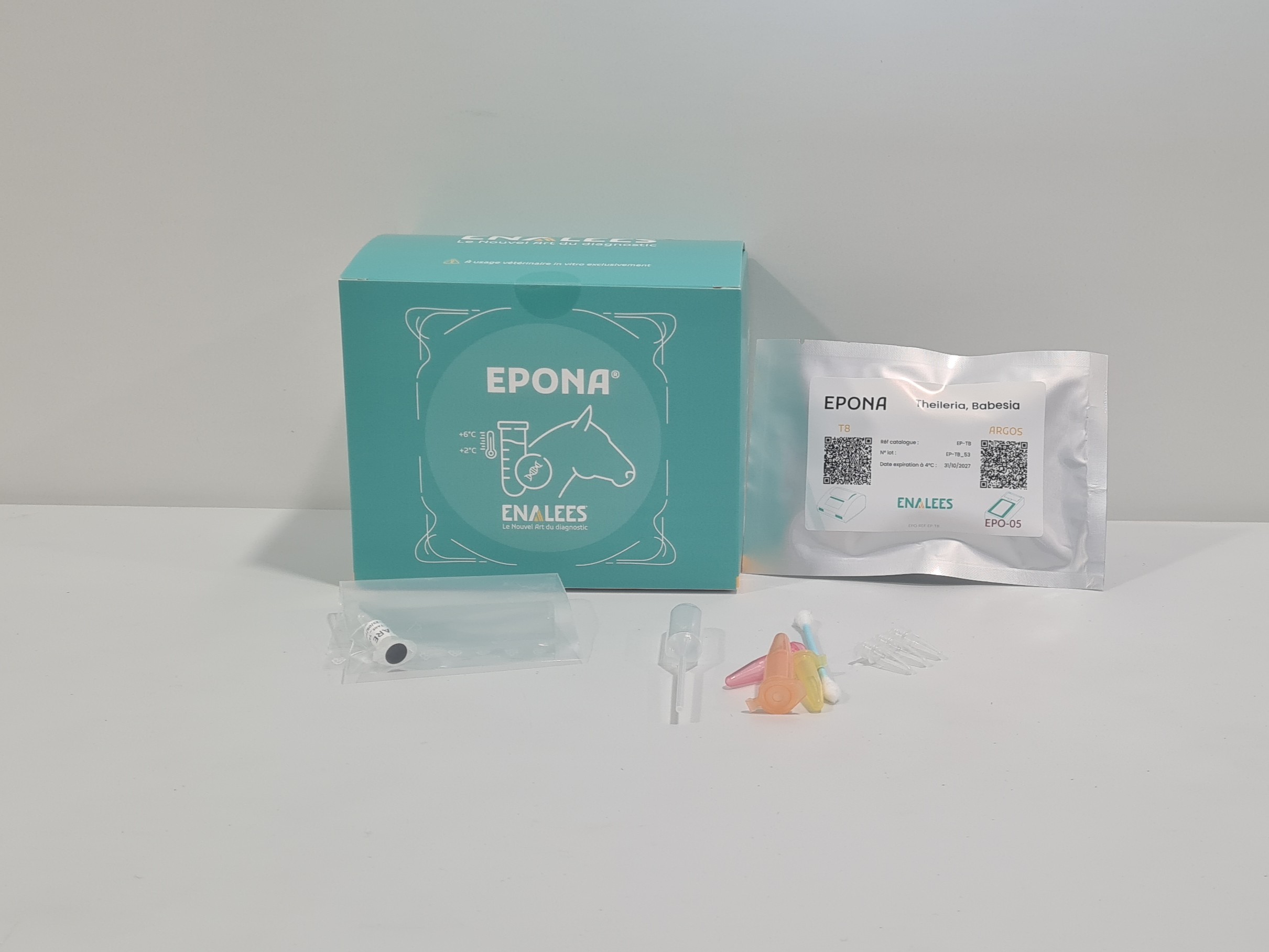 Epona Theileria, Babesia