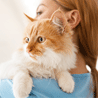 Rapid PCR Transforming Veterinary Diagnostics